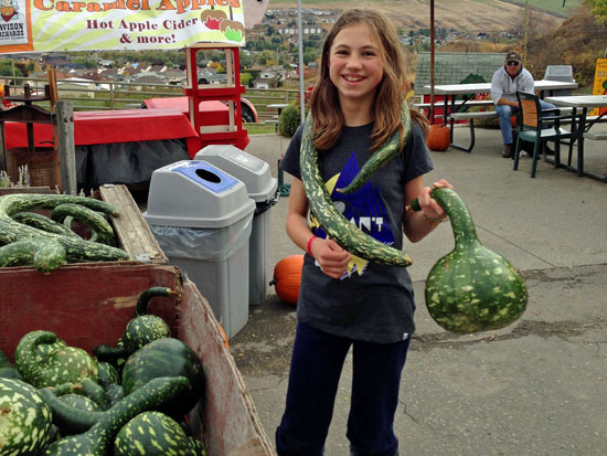 davison orchards