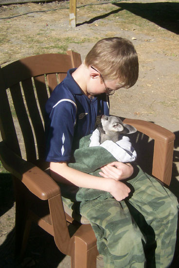 toby at kangaroo creek