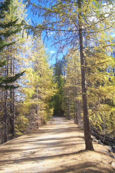 myra canyon