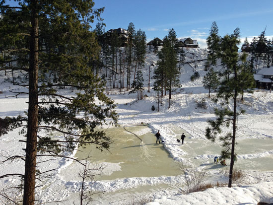 backyard rinks