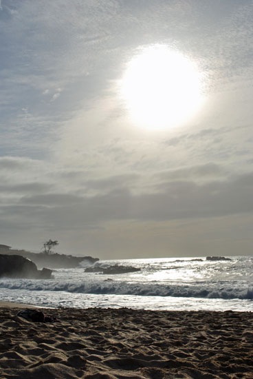 waimea beach