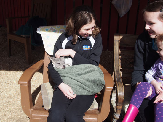 aly, zoe and jenna at kangaroo creek farm