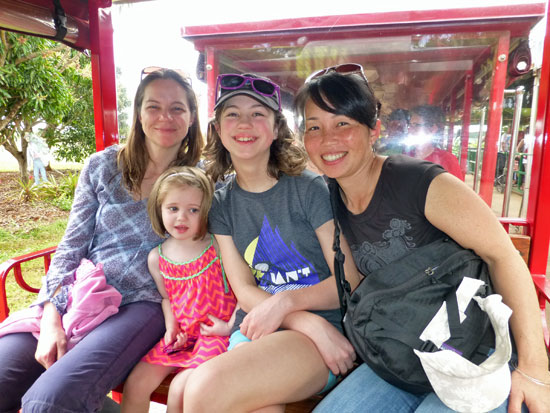 dole pineapple plantation train